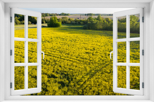 Fototapeta Naklejka Na Ścianę Okno 3D - Aerial view on big yellow fields of rape on a sunny day. European village, agriculture. Seasonal product. Beautiful texture of nature.