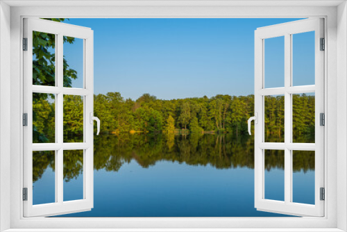 Fototapeta Naklejka Na Ścianę Okno 3D - The lush green forest and blue sky are reflected in the lake on a sunny day. High quality photo