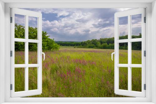 Fototapeta Naklejka Na Ścianę Okno 3D - 
A beautiful summer landscape, a flower meadow against a cloudy sky, from the photo it breathes a summer mood. Brilliant colors, high color saturation