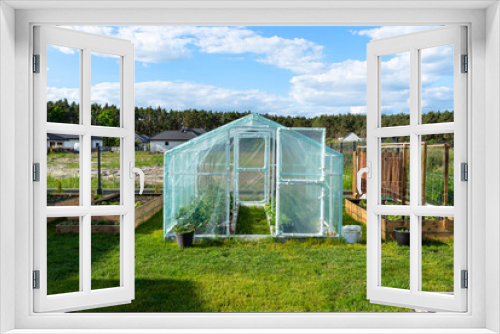 Fototapeta Naklejka Na Ścianę Okno 3D - Backyard greenhouse made of foil standing on the grass behind the house.