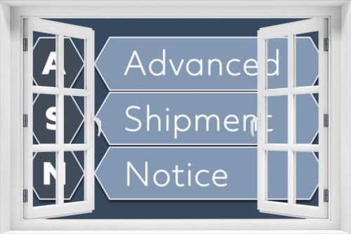 ASN Advanced Shipment Notice. An Acronym Abbreviation of a term from the software industry. Illustration isolated on blue background
