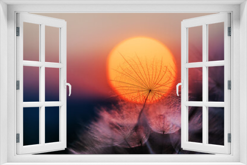 Fototapeta Naklejka Na Ścianę Okno 3D - Dandelion silhouette against sunset with seeds blowing in the wind, summer concept. Beauty in nature