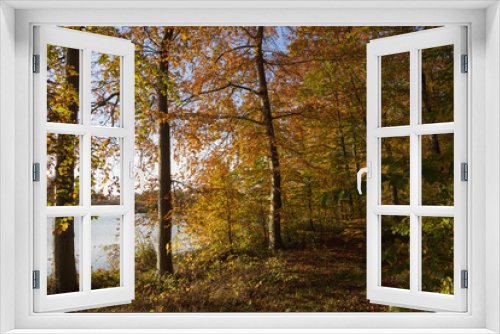 Fototapeta Naklejka Na Ścianę Okno 3D - Wald am See im Herbst