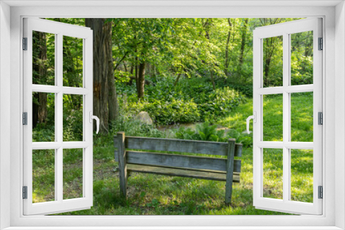 Fototapeta Naklejka Na Ścianę Okno 3D - A wooden bench in a shady park in the summer.