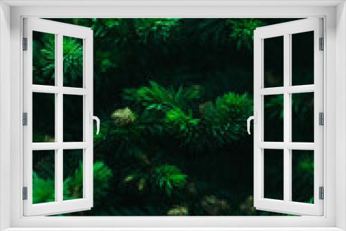 Fototapeta Naklejka Na Ścianę Okno 3D - green forest background