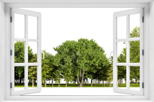 Fototapeta Naklejka Na Ścianę Okno 3D - forest line PNG file transparent background, 3d illustration rendering