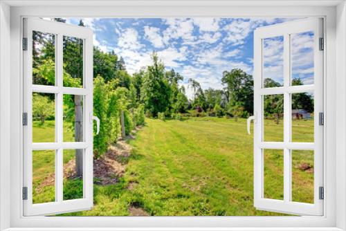 Fototapeta Naklejka Na Ścianę Okno 3D - Beautiful summer countryside garden