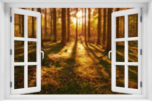 Fototapeta Naklejka Na Ścianę Okno 3D - Trees, autumn season and sun ray in forest, woods or wilderness in the nature outdoors. Tall tree, backgrounds and plant growth with sunshine, field and sunset view of the natural park environment