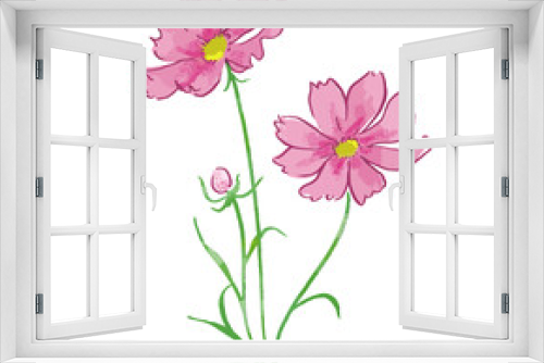 Fototapeta Naklejka Na Ścianę Okno 3D - 手描きのコスモスの花