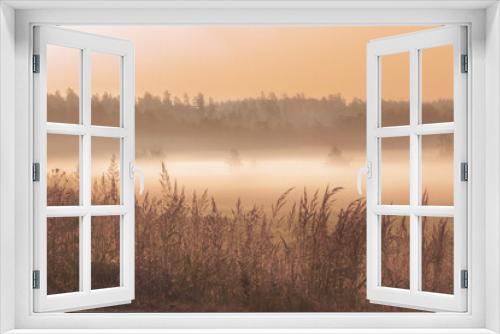 Fototapeta Naklejka Na Ścianę Okno 3D - Mist over a field at dawn, Northern Europe