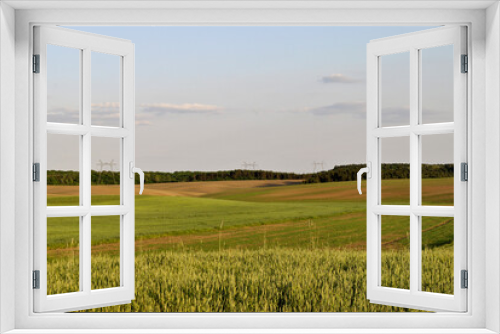 Fototapeta Naklejka Na Ścianę Okno 3D - wheat field and sky