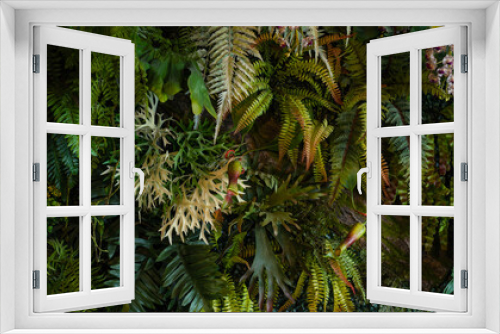 Fototapeta Naklejka Na Ścianę Okno 3D - Group of dark green tropical leaves background, Nature Lush Foliage Leaf Texture, tropical leaf	