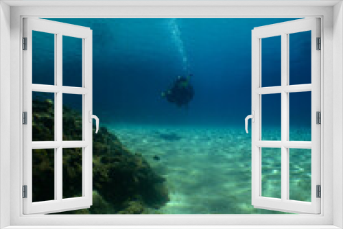 Fototapeta Naklejka Na Ścianę Okno 3D - some divers exploring a coral reef in the crystal clear waters of the caribbean sea