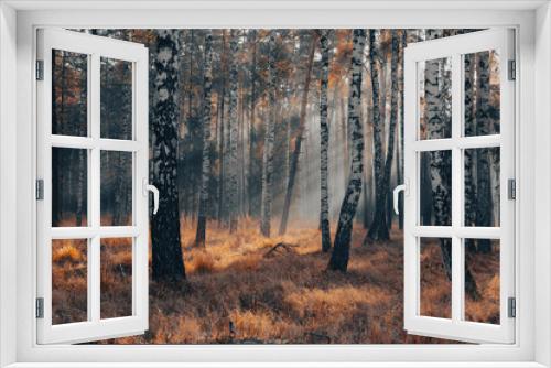 Fototapeta Naklejka Na Ścianę Okno 3D - Krajobraz jesienny. Promienie słońca i mglisty poranek w lesie