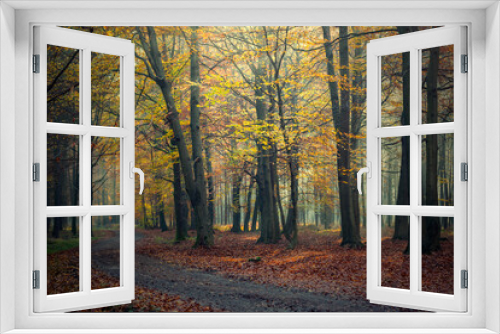 Fototapeta Naklejka Na Ścianę Okno 3D - Krajobraz jesienny. Promienie słońca i mglisty poranek w lesie