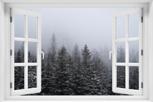 Fototapeta Naklejka Na Ścianę Okno 3D - Landscape view of the snow-covered fir forest trees on a foggy day