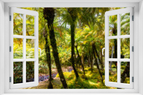Fototapeta Naklejka Na Ścianę Okno 3D - Tropical garden with palm trees, ferns and exotic flowers on Martinique island. Sunlit lush exotic vegetation in popular public park in the Caribbean sea called “Jardin de Balata“, Fort-de-France.