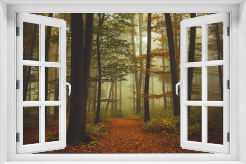 Fototapeta Naklejka Na Ścianę Okno 3D - Foggy forest