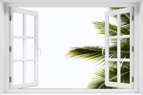 Fototapeta Naklejka Na Ścianę Okno 3D - Coconut palm trees with blue sky
