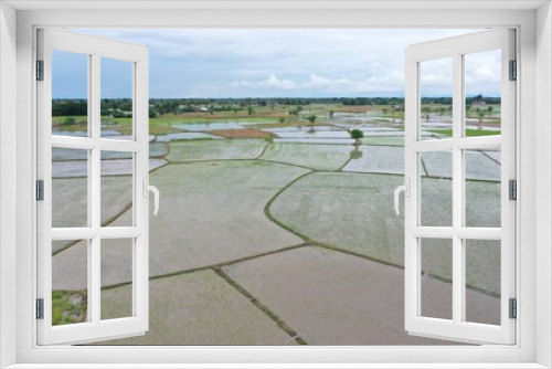 Fototapeta Naklejka Na Ścianę Okno 3D - paddy fields that have not been planted with rice