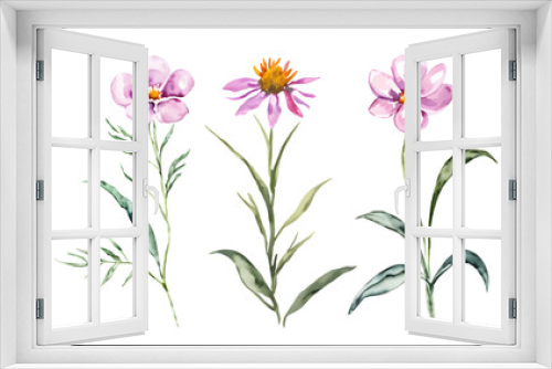 Fototapeta Naklejka Na Ścianę Okno 3D - Set pink wild meadow flowers watercolor painting isolated on white, wildflower