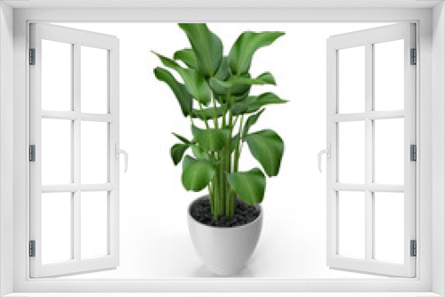 Fototapeta Naklejka Na Ścianę Okno 3D - Interior plant big leaves in ceramic white pot