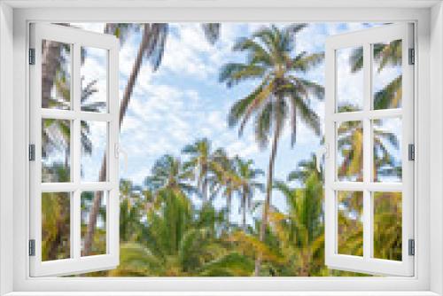 Fototapeta Naklejka Na Ścianę Okno 3D - Path and Palm Trees