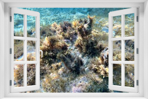 Fototapeta Naklejka Na Ścianę Okno 3D - Meeresgrund