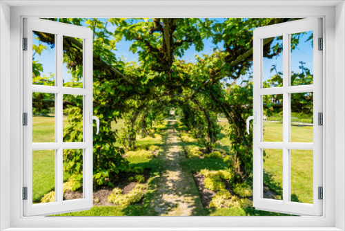 Fototapeta Naklejka Na Ścianę Okno 3D - Sunny day with a clear blue sky in the gardens of the Powis Castle in the UK