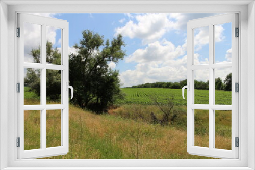 Fototapeta Naklejka Na Ścianę Okno 3D - A grassy field with trees in the background