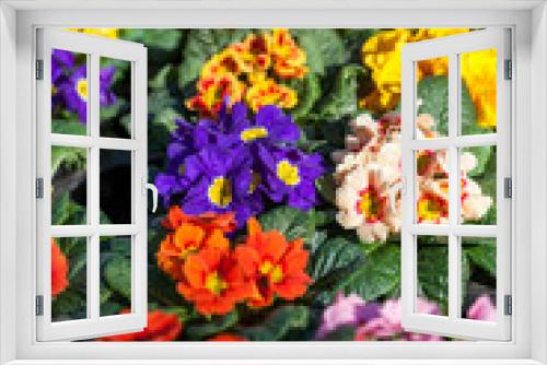 Fototapeta Naklejka Na Ścianę Okno 3D - Bunter gemischte Blumen Blumenstrauß mit verschiedenen Blüten