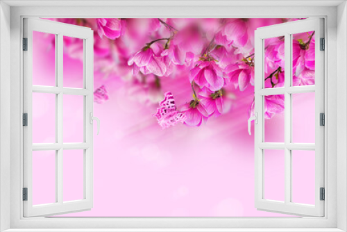 Fototapeta Naklejka Na Ścianę Okno 3D - Magnolia flower blossom. Greeting card background template. Shallow depth. Soft toned