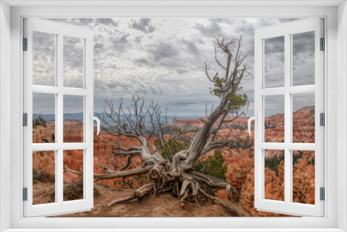 Fototapeta Naklejka Na Ścianę Okno 3D - Bryce canyon park in the USA