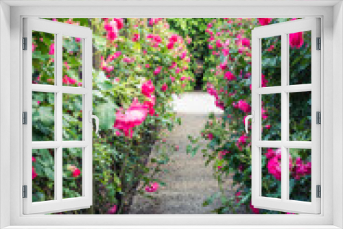 Fototapeta Naklejka Na Ścianę Okno 3D - Wooden pergola overgrown with beautiful pink roses. Wooden garden support structure. Trellis. Rose garden. Chorzow, Silesian Park.