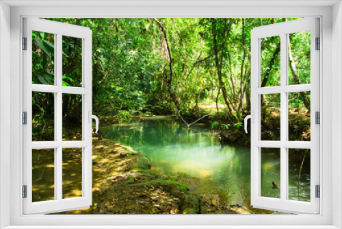 Fototapeta Naklejka Na Ścianę Okno 3D - tropical forest