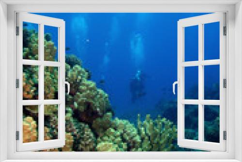 Fototapeta Naklejka Na Ścianę Okno 3D - Scuba Divers swimming towards the reef in Molokini Hawaii