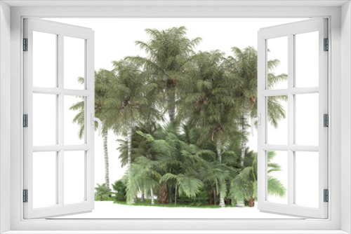 Fototapeta Naklejka Na Ścianę Okno 3D - Tropical forest isolated on transparent background. 3d rendering - illustration
