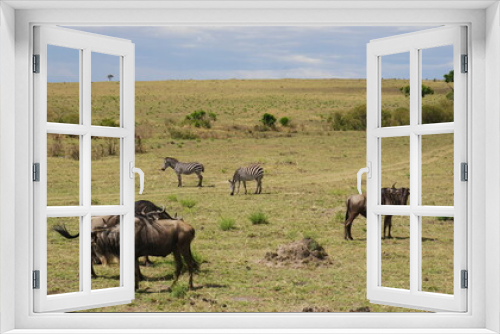 Fototapeta Naklejka Na Ścianę Okno 3D - herd of wildebeest