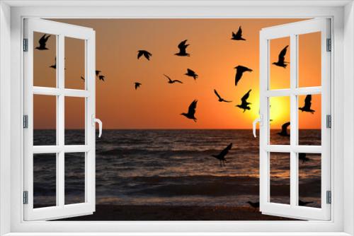 Fototapeta Naklejka Na Ścianę Okno 3D - Seagulls silhouettes in flight at sunrise