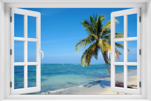 Fototapeta Naklejka Na Ścianę Okno 3D - Coconut tree on Caribbean sandy beach