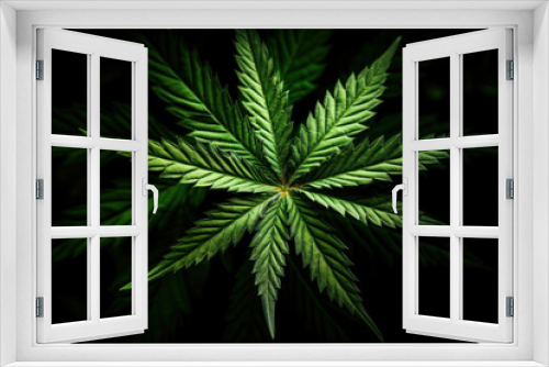 Fototapeta Naklejka Na Ścianę Okno 3D - Cannabis leaf on black background.