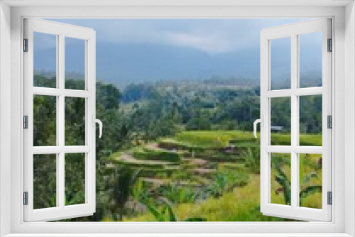 Fototapeta Naklejka Na Ścianę Okno 3D - Bali Island 25 June 2023 : Rice terraces View in Jatiluwih, Tabanan, Indonesia