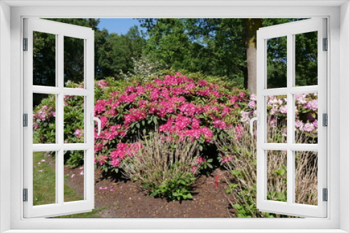 Fototapeta Naklejka Na Ścianę Okno 3D - Blühende Parkanlage Rhododendrongarten Bremen