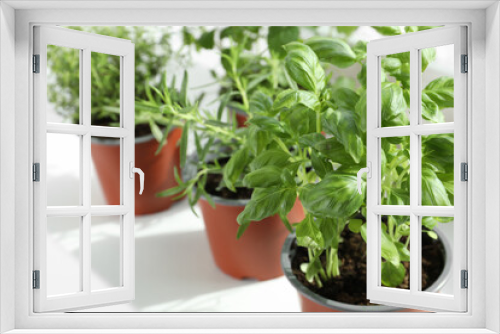 Fototapeta Naklejka Na Ścianę Okno 3D - Different fresh potted herbs on windowsill indoors, closeup