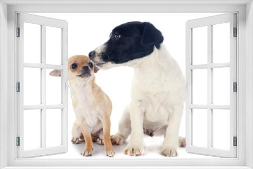 Fototapeta Naklejka Na Ścianę Okno 3D - two puppies