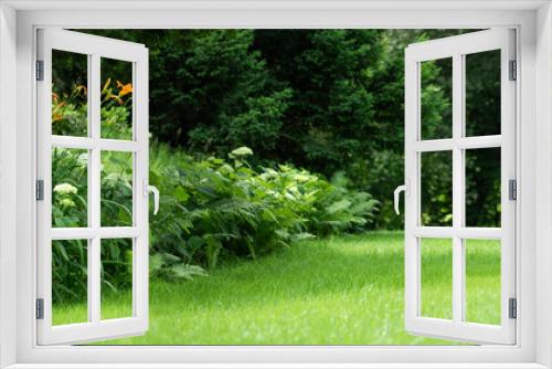 Fototapeta Naklejka Na Ścianę Okno 3D - piękny naturalny ogród z trawnikiem, paprociami i hortensjami, leśny ogród