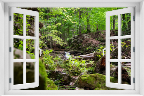 Fototapeta Naklejka Na Ścianę Okno 3D - small waterfall in the forest