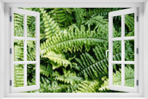 Fototapeta Naklejka Na Ścianę Okno 3D - 여름 나뭇잎