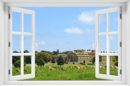 Fototapeta Naklejka Na Ścianę Okno 3D - Holkham Hall Deer