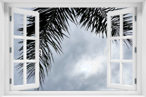 Fototapeta Naklejka Na Ścianę Okno 3D - Large branches of a palm tree gently sway in the wind against the background of an overcast evening sky. A backdrop for a summer atmosphere of tranquility and relaxation